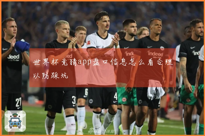 世界杯竞猜app盘口信息怎么看合理以防踩坑