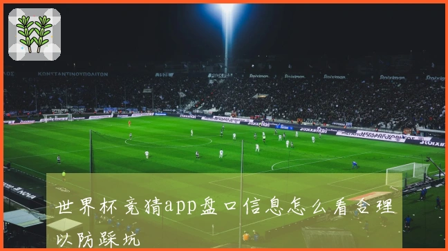 世界杯竞猜app盘口信息怎么看合理以防踩坑