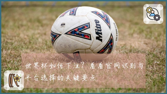世界杯如何下注？看看官网识别与平台选择的关键要点